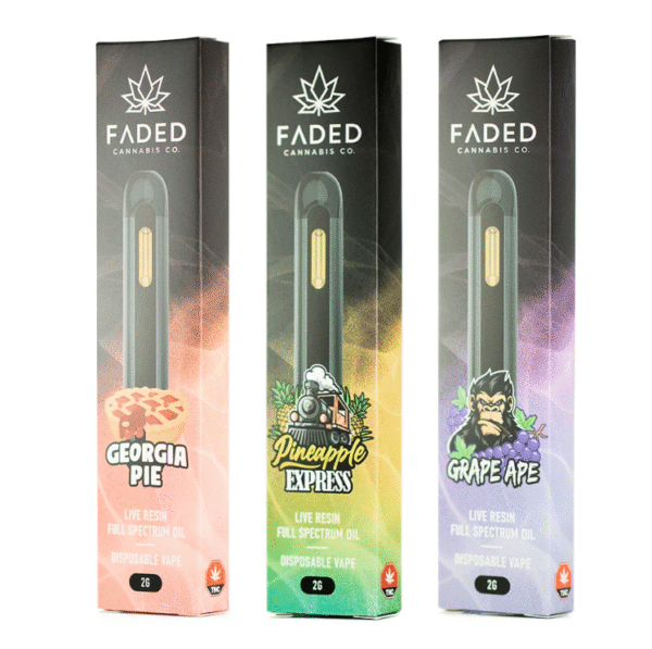 Best Place To Buy Bulk Vapes Sydney Cheap