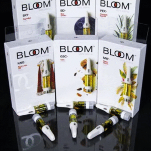 Cheap Bulk Disposable Vapes Australia No Minimum Order